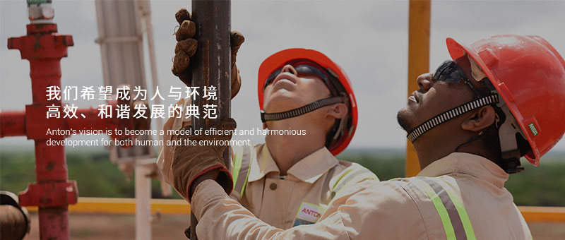 中国领先的油田技术服务公司2